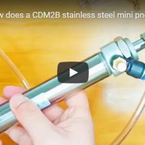 CDM2B stainless steel mini pneumatic cylinder
